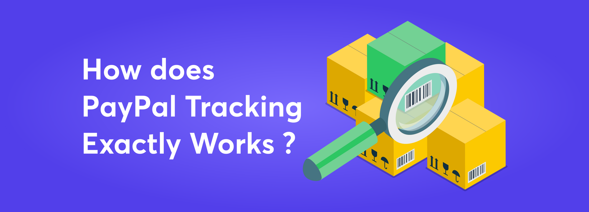 How does PayPal Tracking Exactly Works? Sellers & Buyers Guide